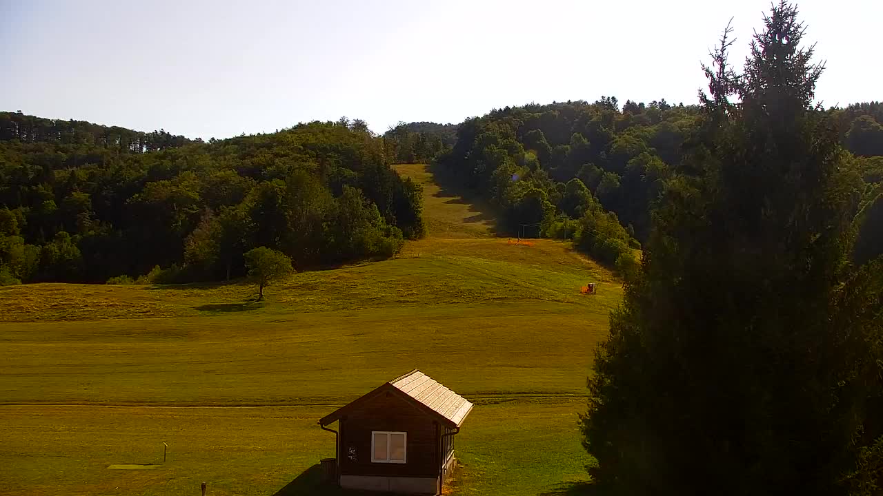 Webcam Loqua / Lokve – La bellezza della selva di Tarnova
