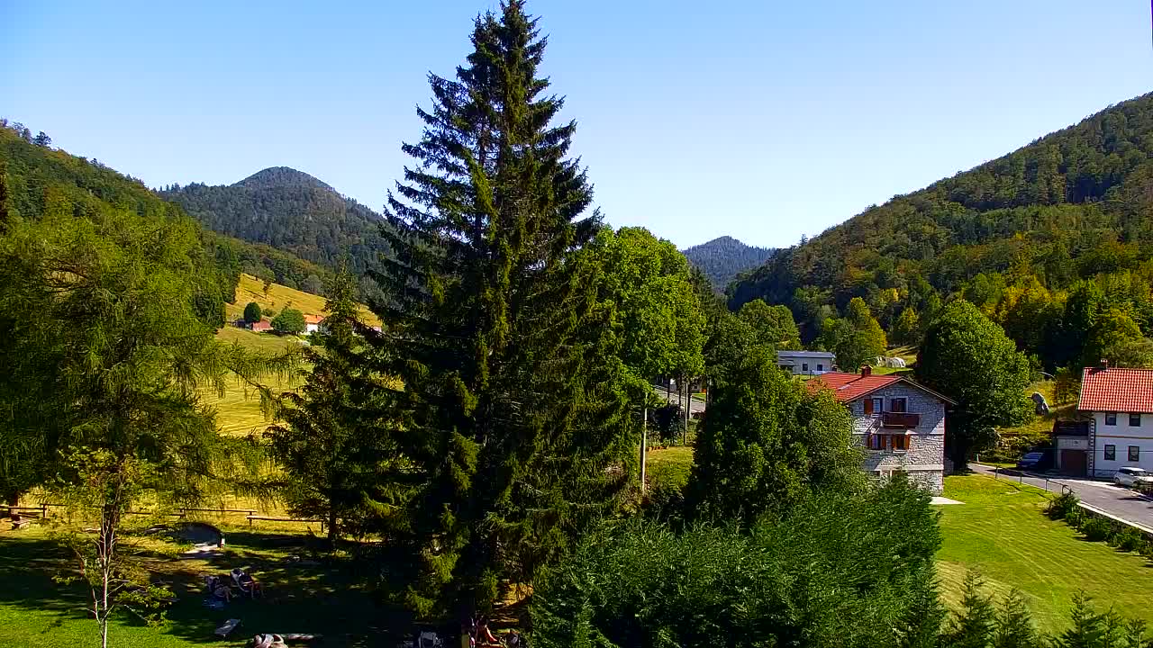 Webcam Lokve – La beauté de la forêt de Trnovo