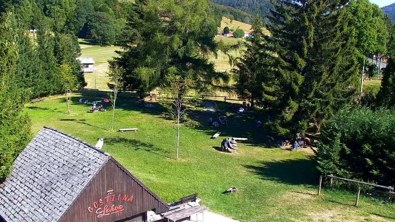 Webcam Loqua / Lokve – La bellezza della selva di Tarnova