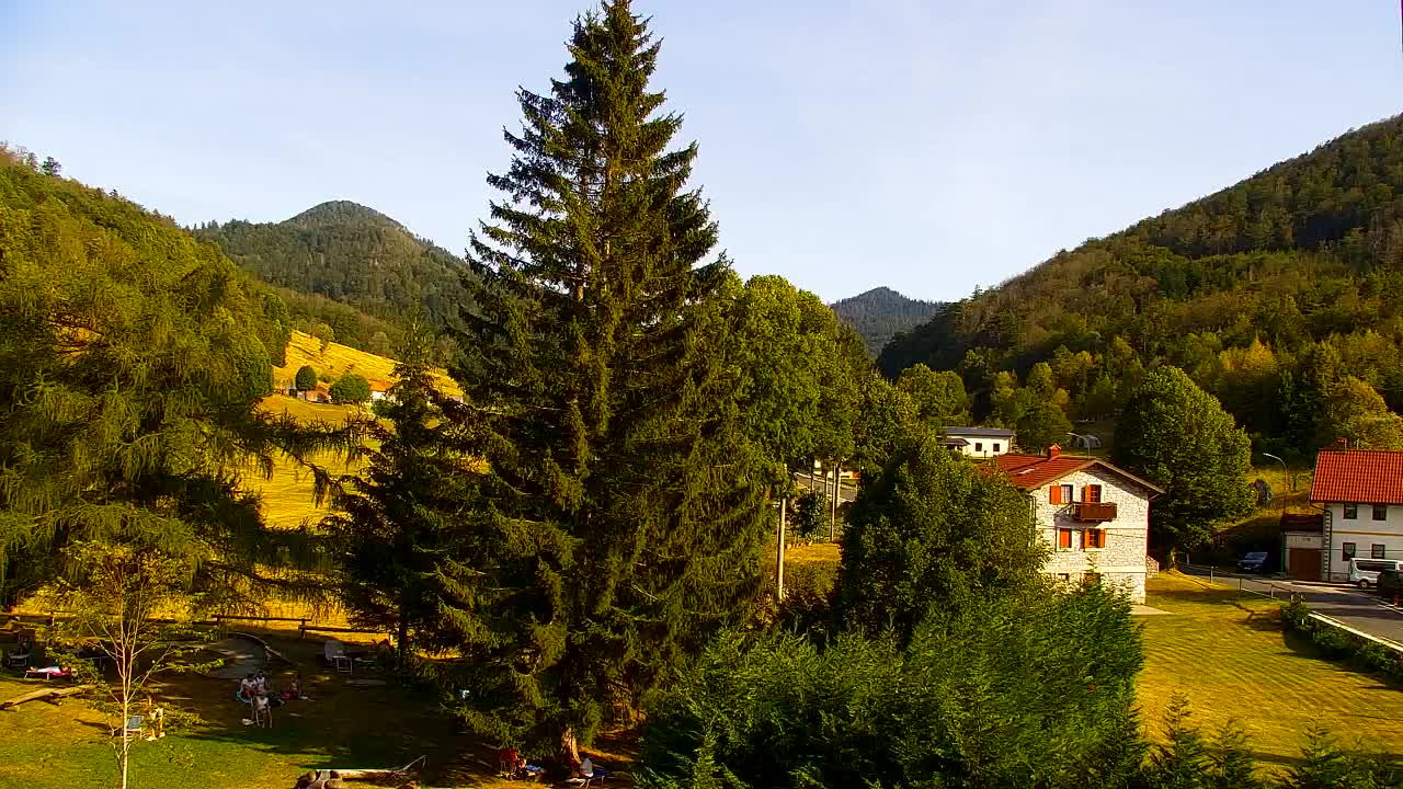 Camera en vivo Lokve – La belleza del bosque de Trnovo