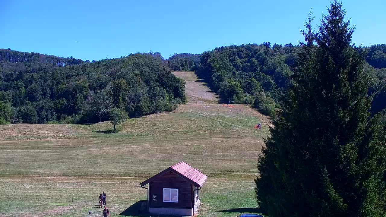 Webcam Lokve – The beauty of the Trnovo forest