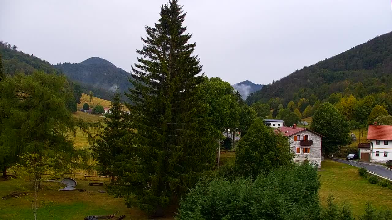Webcam Loqua / Lokve – La bellezza della selva di Tarnova
