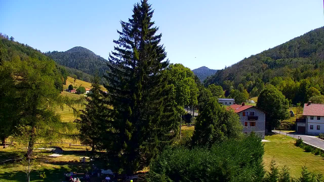 Webcam Lokve – La beauté de la forêt de Trnovo