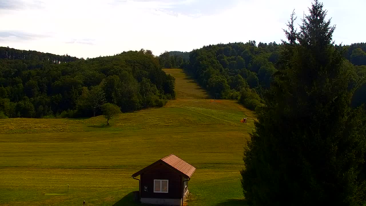 Webcam Lokve – The beauty of the Trnovo forest