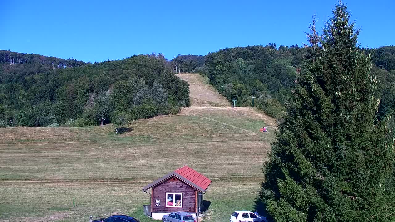 Webcam Loqua / Lokve – La bellezza della selva di Tarnova