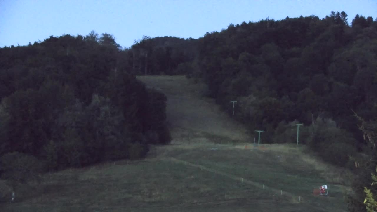 Webcam Lokve – The beauty of the Trnovo forest