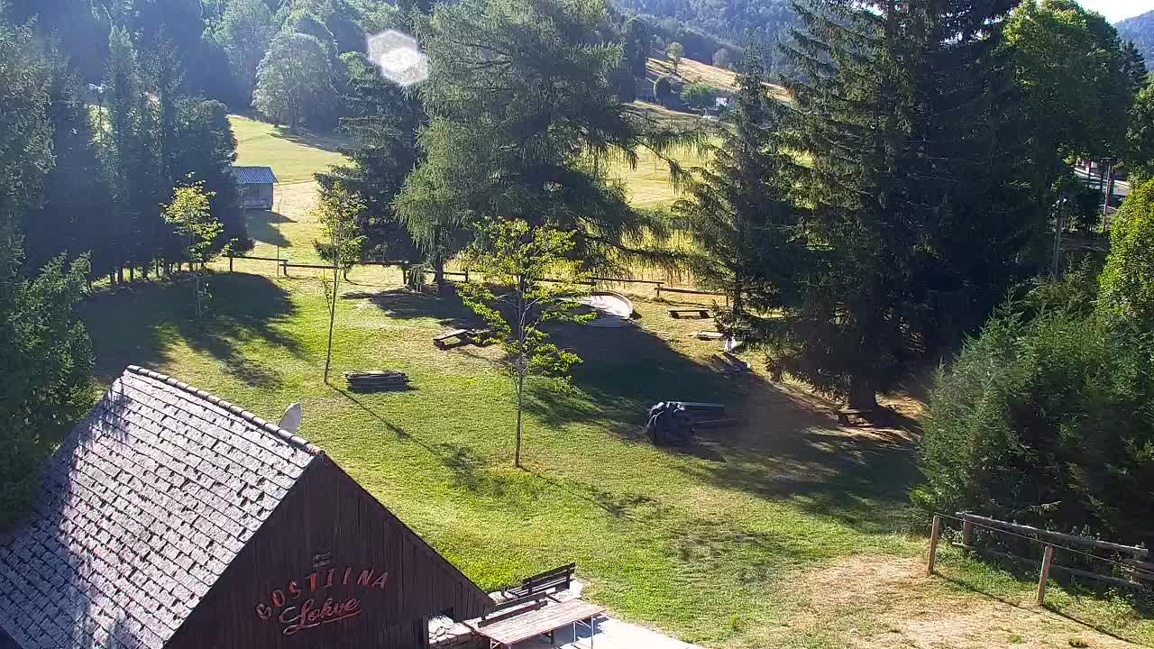 Webcam Loqua / Lokve – La bellezza della selva di Tarnova