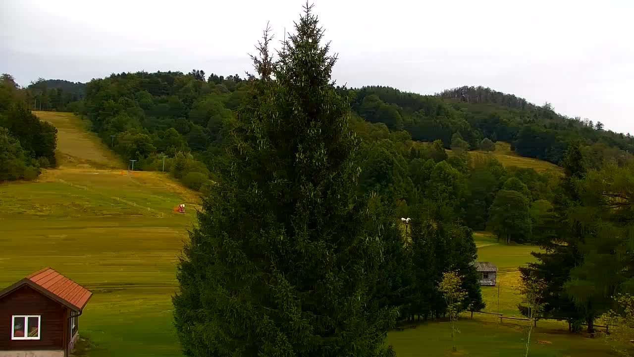 Webcam Lokve – La beauté de la forêt de Trnovo