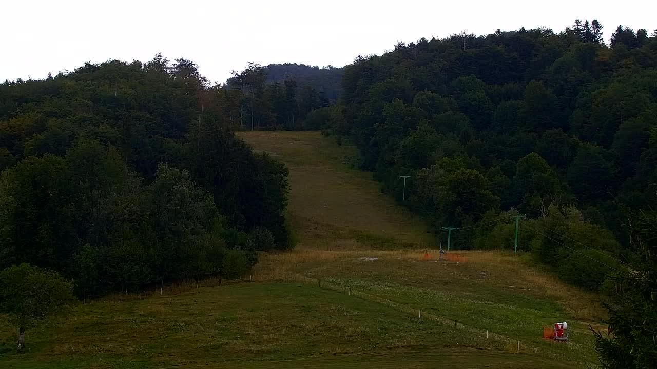 Webcam Lokve – La beauté de la forêt de Trnovo