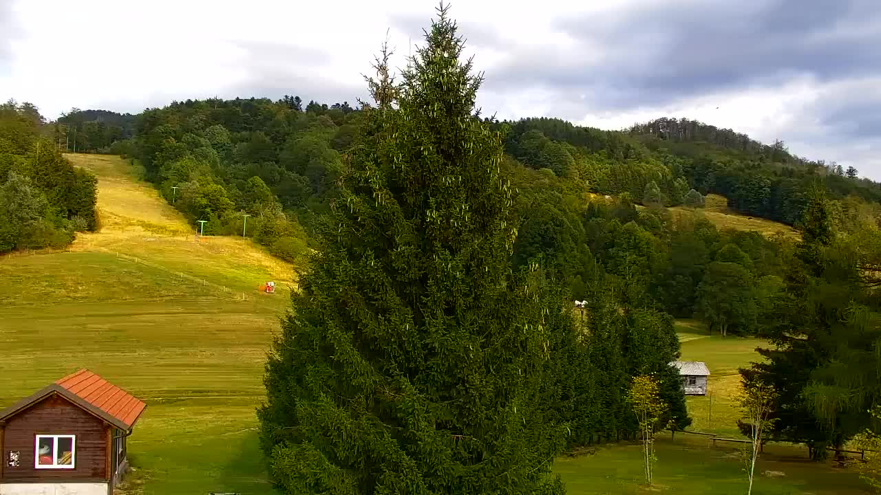 Webcam Lokve – Die Schönheit des Trnovo-Waldes