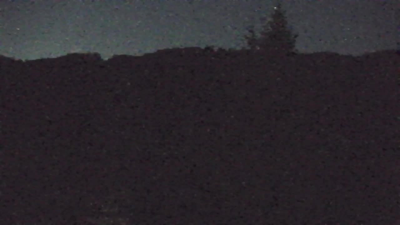 Webcam Lokve – La beauté de la forêt de Trnovo
