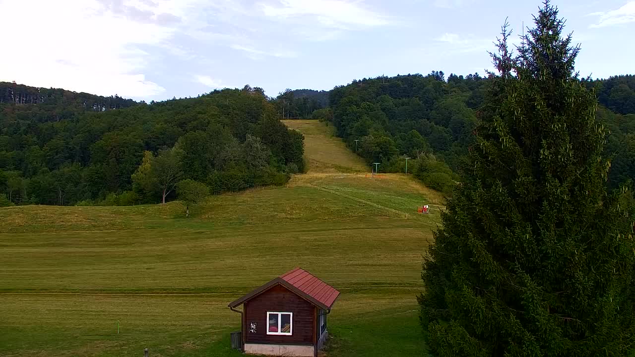 Webcam Loqua / Lokve – La bellezza della selva di Tarnova