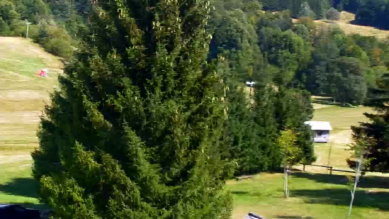 Webcam Lokve – The beauty of the Trnovo forest