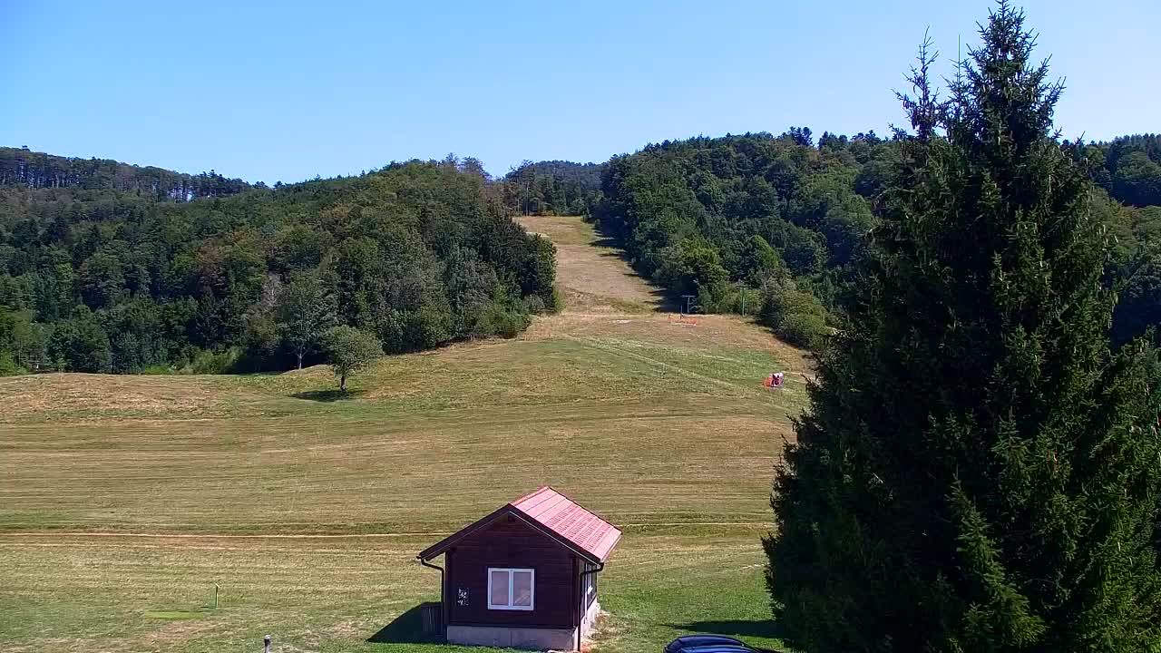 Webcam Lokve – The beauty of the Trnovo forest