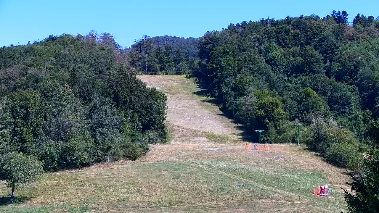 Webcam Loqua / Lokve – La bellezza della selva di Tarnova