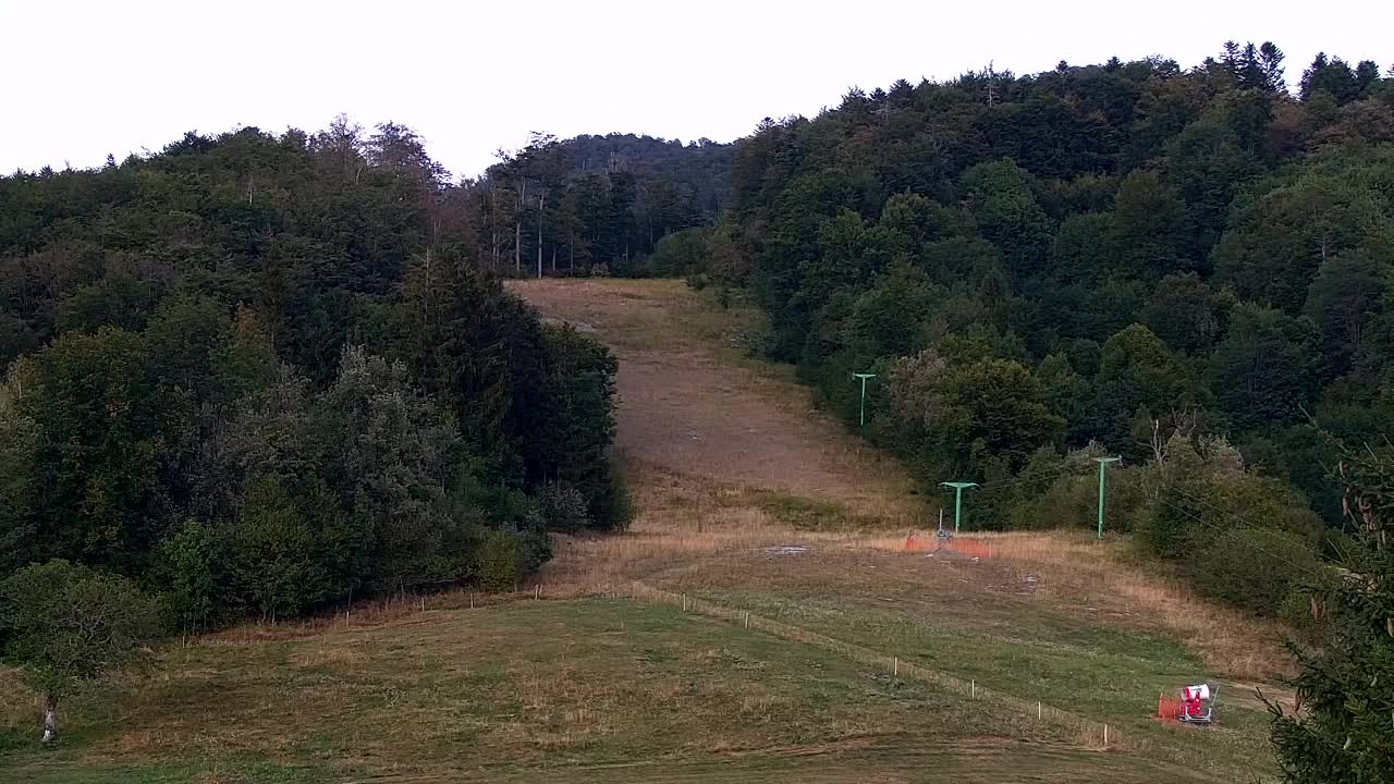 Webcam Loqua / Lokve – La bellezza della selva di Tarnova
