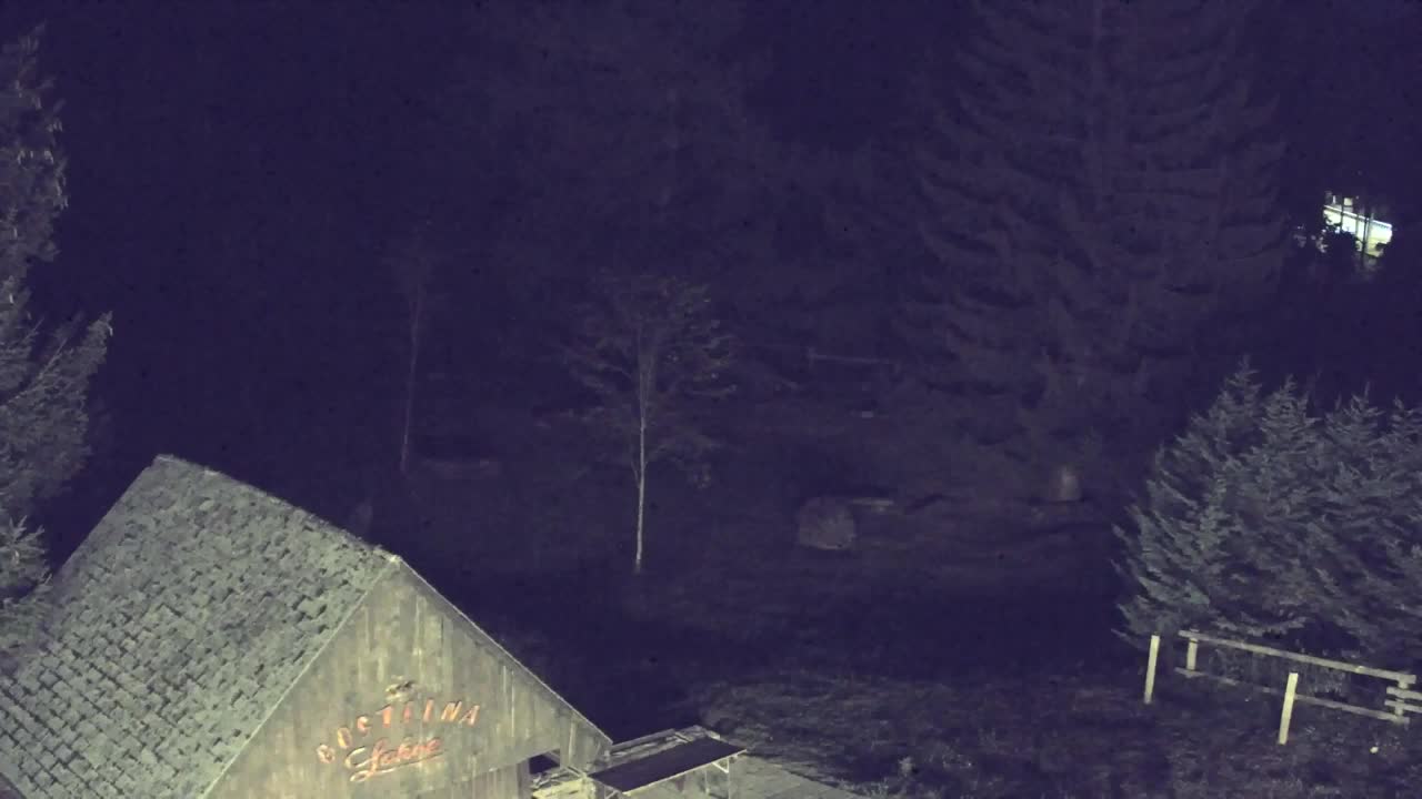 Webcam Loqua / Lokve – La bellezza della selva di Tarnova
