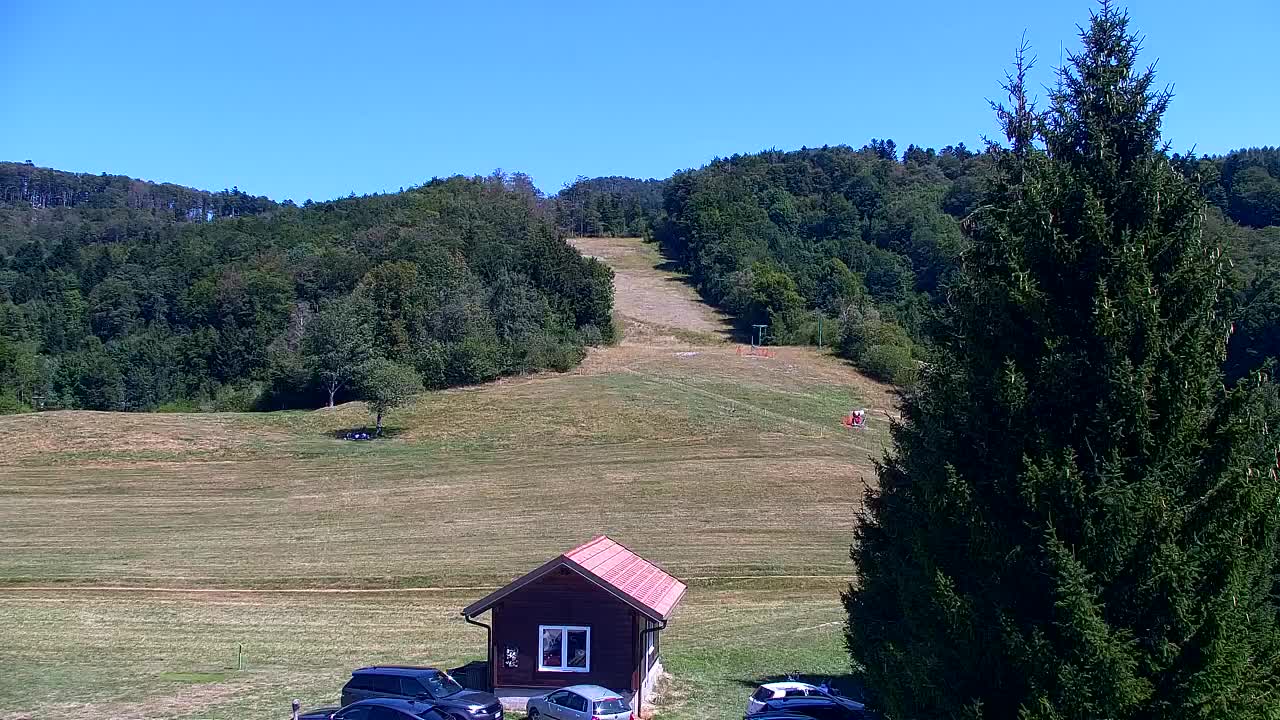 Webcam Loqua / Lokve – La bellezza della selva di Tarnova