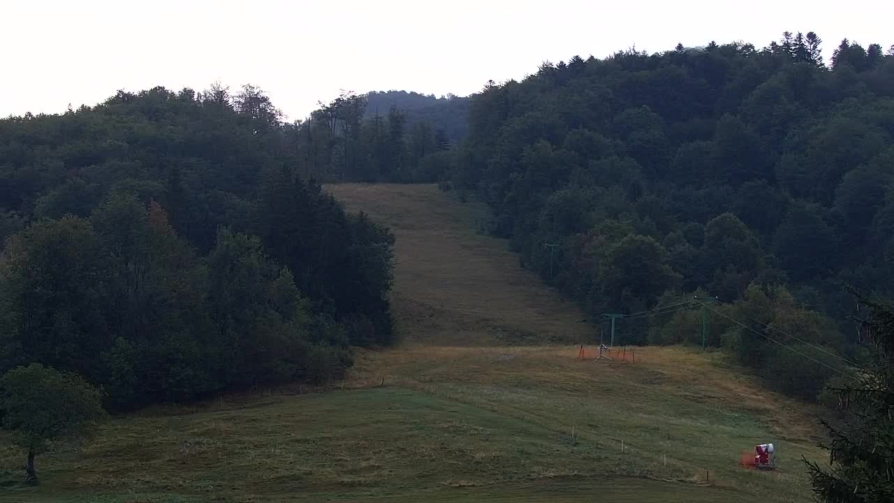 Webcam Lokve – The beauty of the Trnovo forest