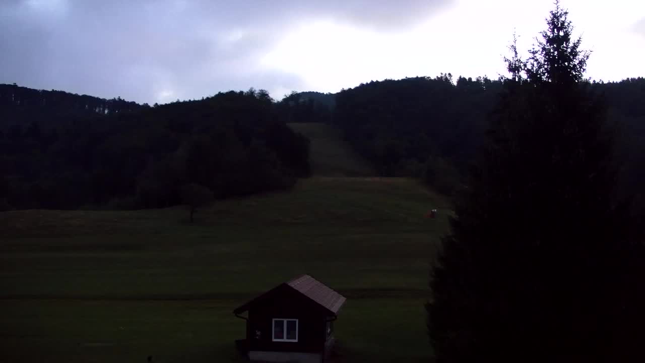 Webcam Loqua / Lokve – La bellezza della selva di Tarnova