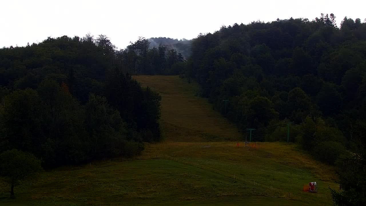 Webcam Lokve – The beauty of the Trnovo forest