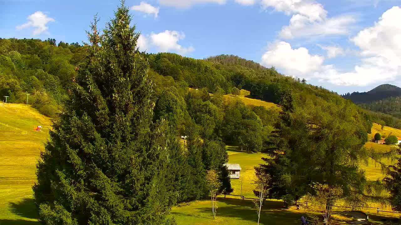 Webcam Lokve – Die Schönheit des Trnovo-Waldes