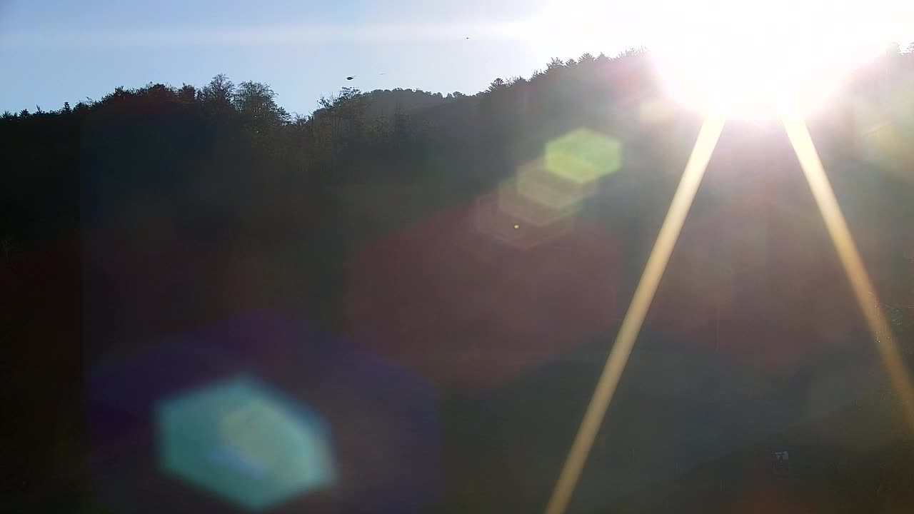 Webcam Lokve – La beauté de la forêt de Trnovo