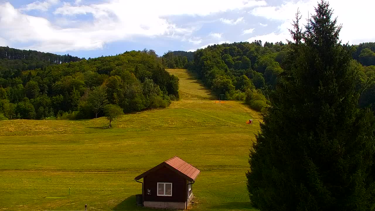 Webcam Lokve – The beauty of the Trnovo forest