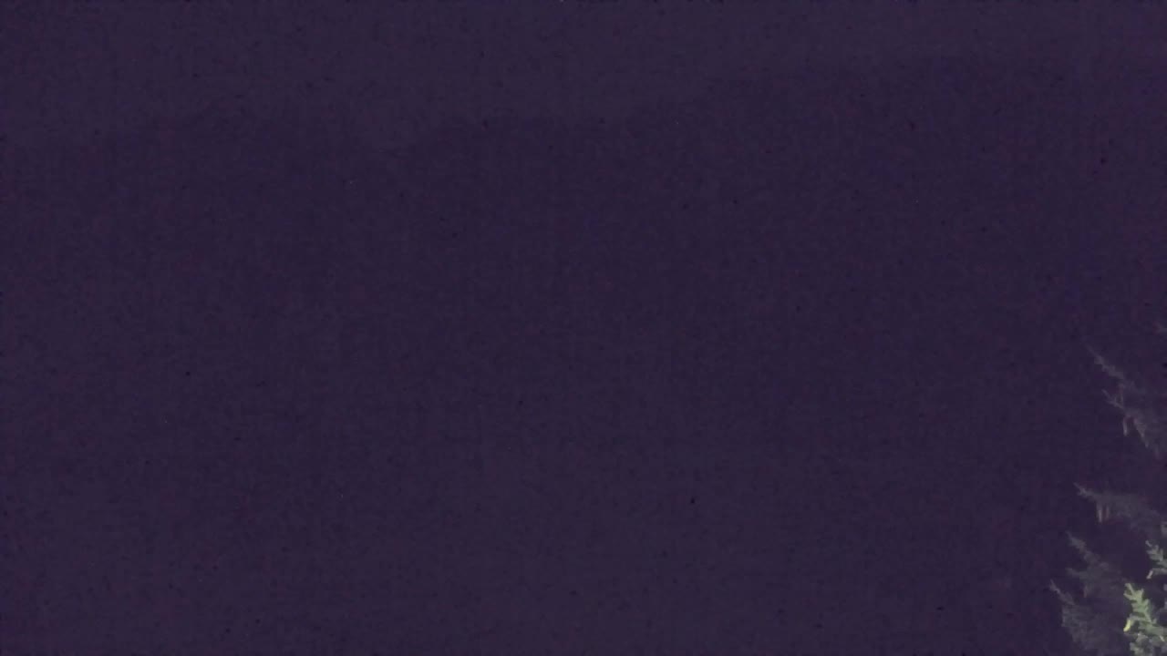 Webcam Lokve – La beauté de la forêt de Trnovo