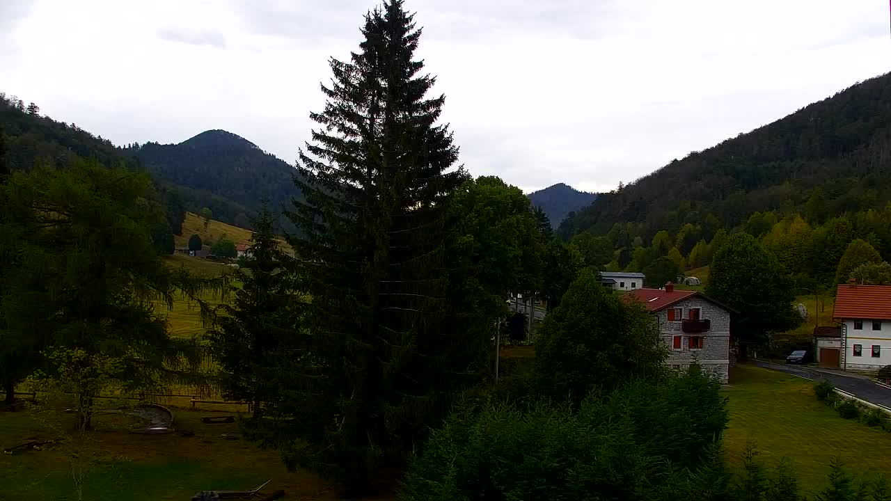 Webcam Lokve – The beauty of the Trnovo forest
