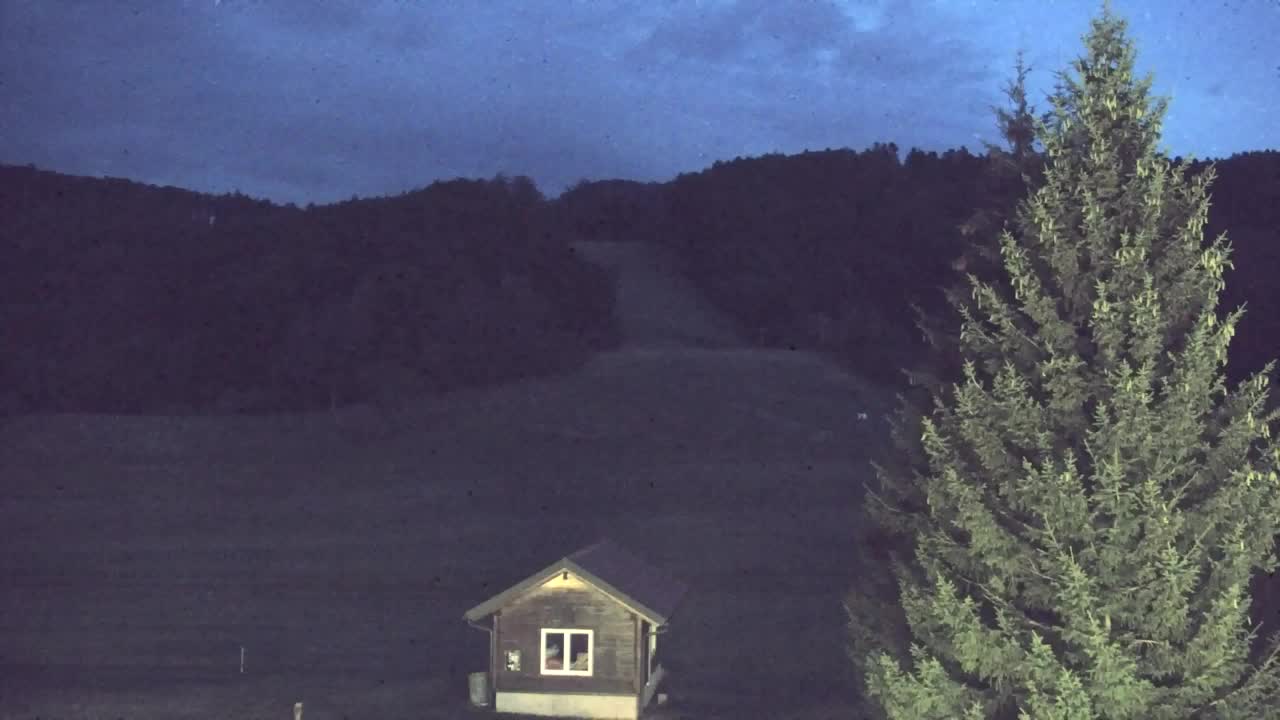 Webcam Loqua / Lokve – La bellezza della selva di Tarnova
