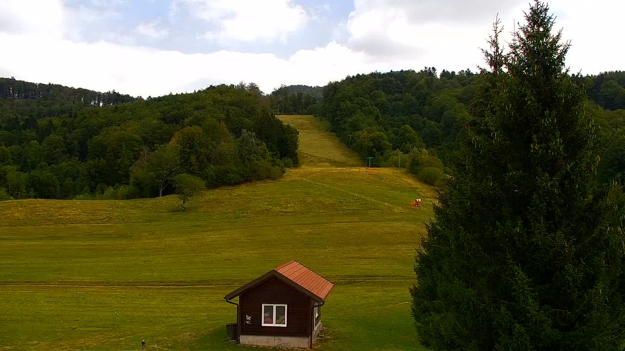 Webcam Loqua / Lokve – La bellezza della selva di Tarnova