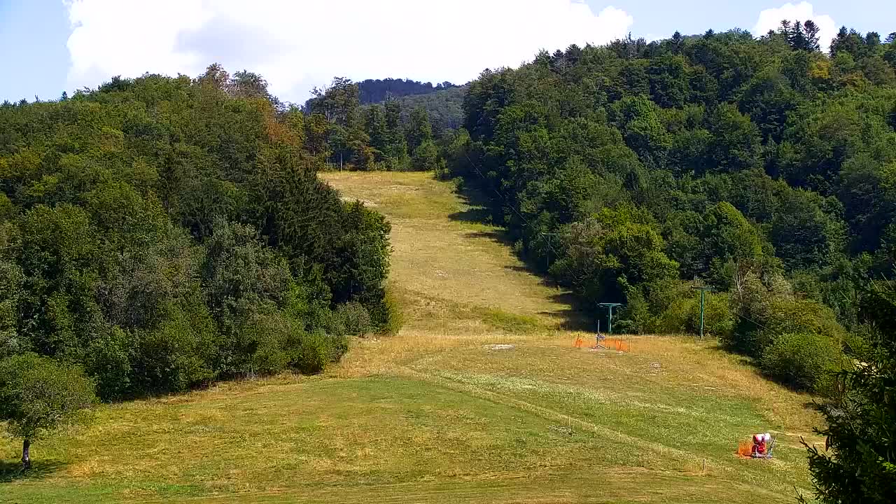 Webcam Lokve – Die Schönheit des Trnovo-Waldes