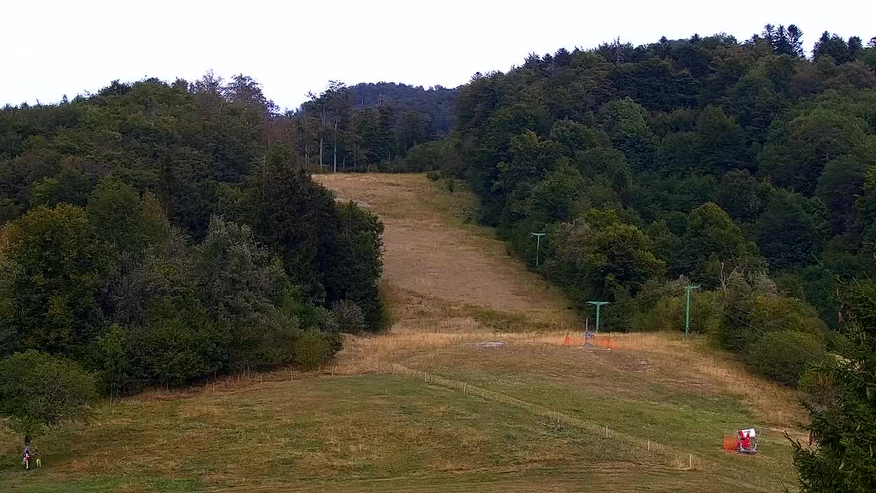 Webcam Loqua / Lokve – La bellezza della selva di Tarnova