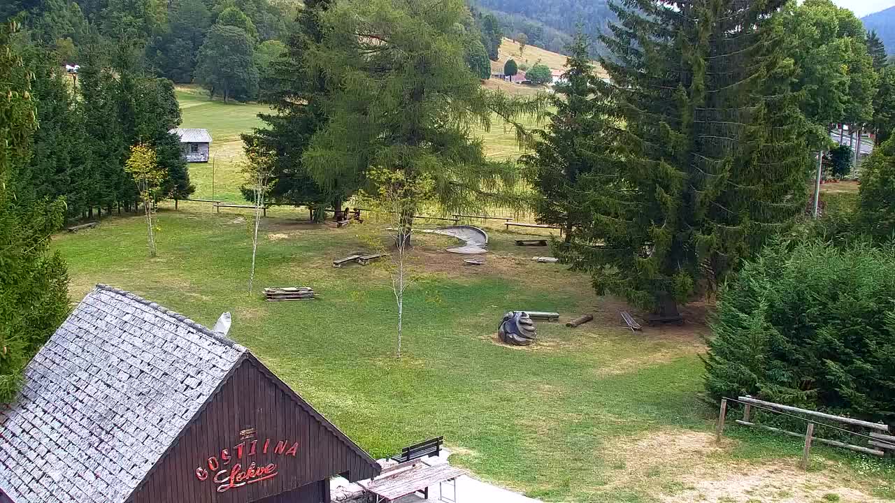 Webcam Lokve – La beauté de la forêt de Trnovo