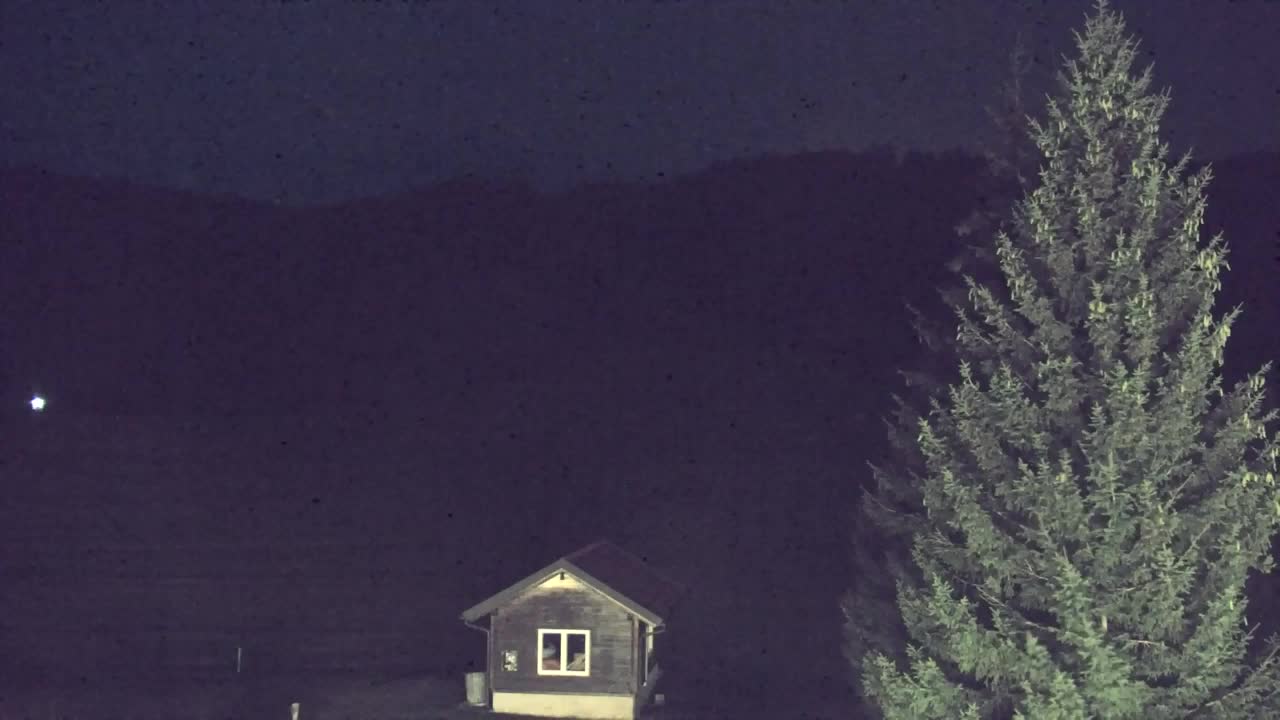 Webcam Lokve – La beauté de la forêt de Trnovo