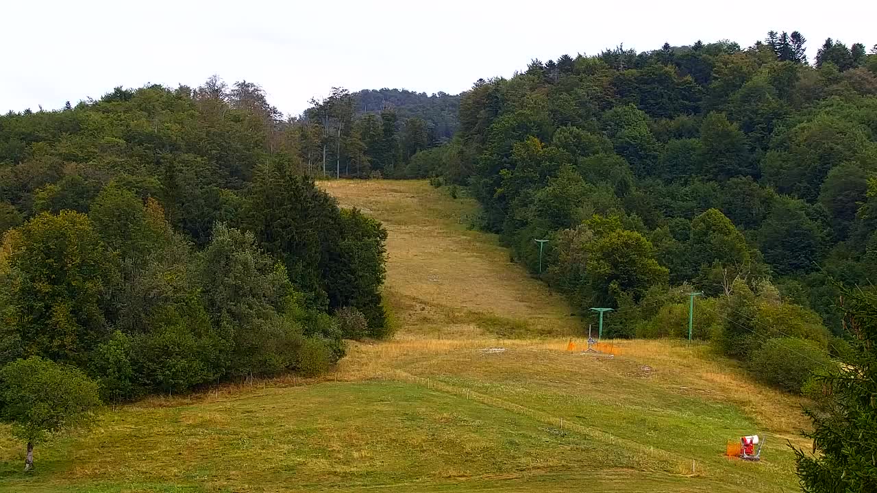 Webcam Lokve – The beauty of the Trnovo forest