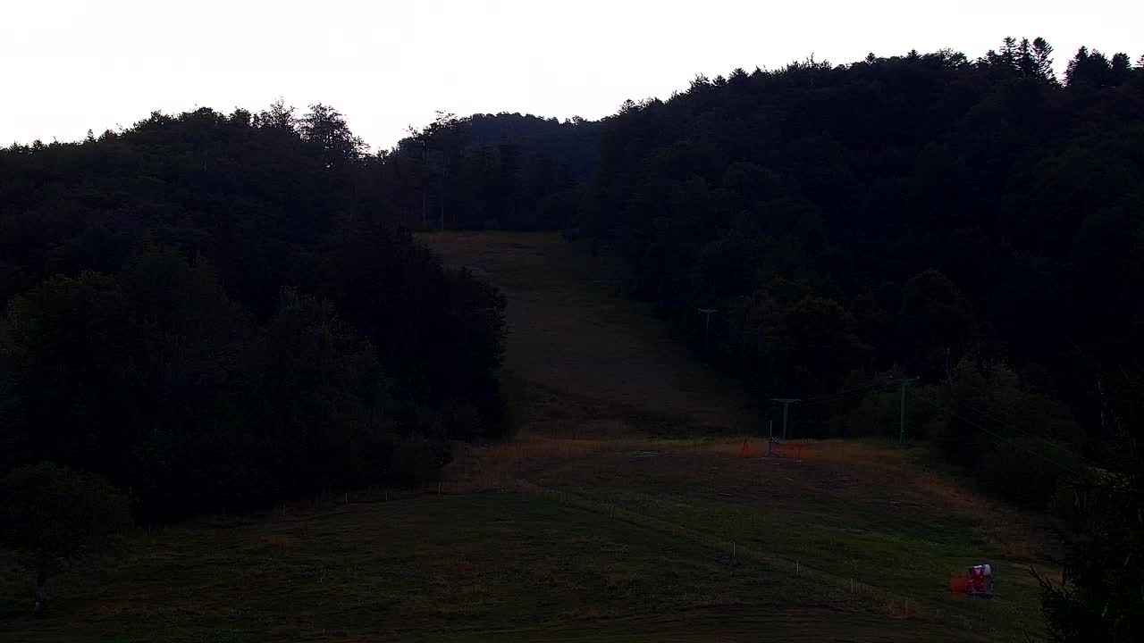 Webcam Loqua / Lokve – La bellezza della selva di Tarnova