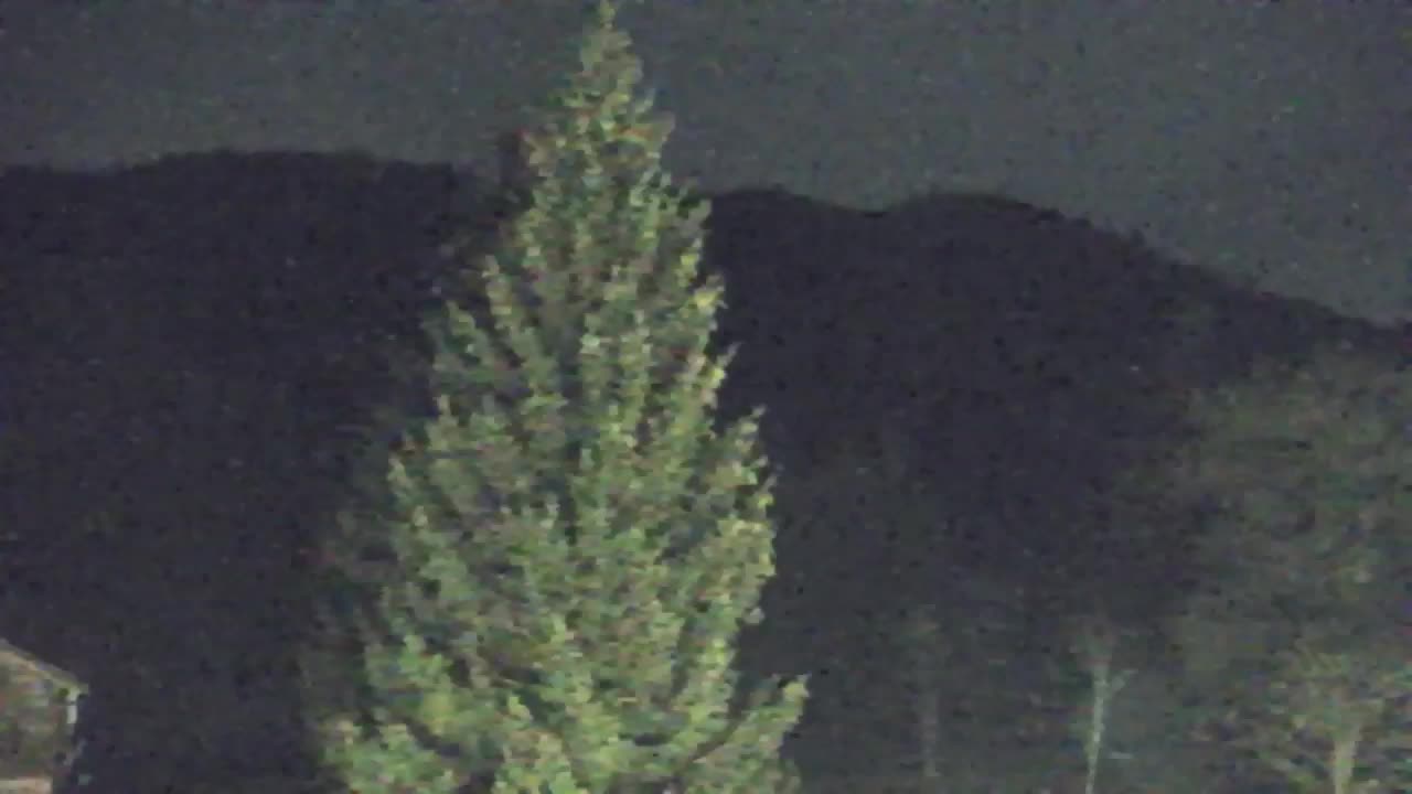 Webcam Lokve – The beauty of the Trnovo forest