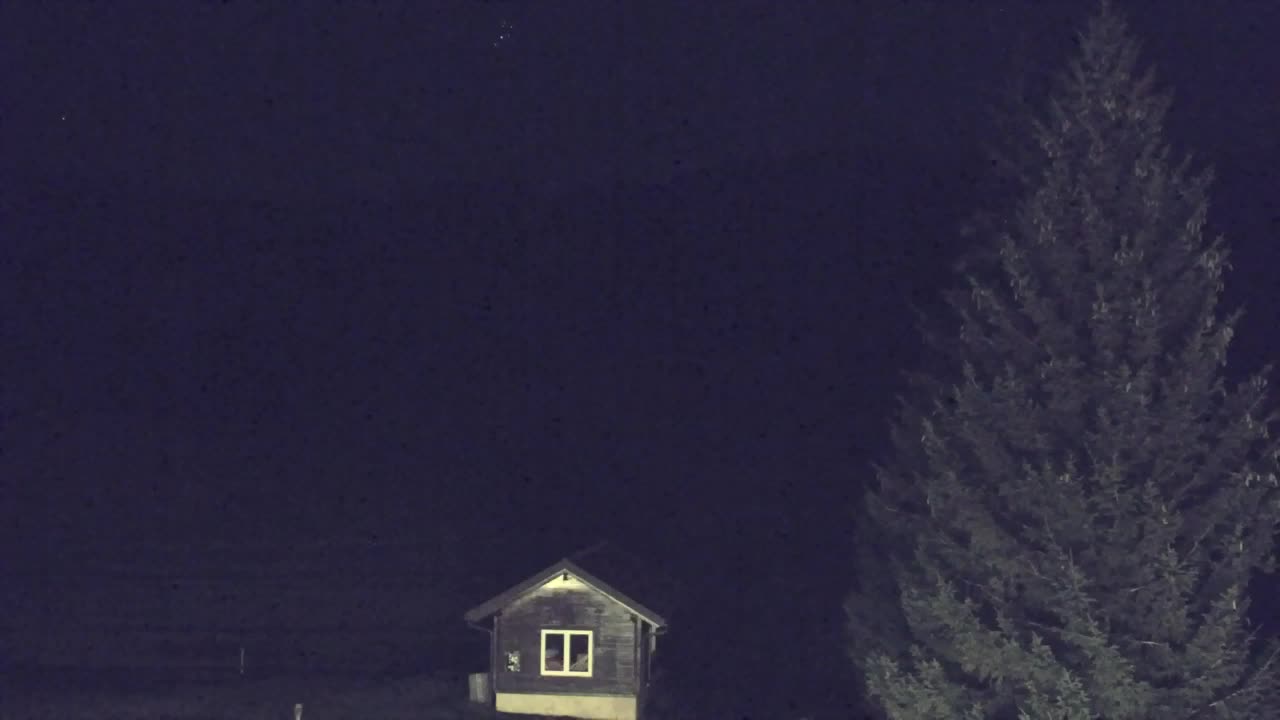 Webcam Lokve – The beauty of the Trnovo forest