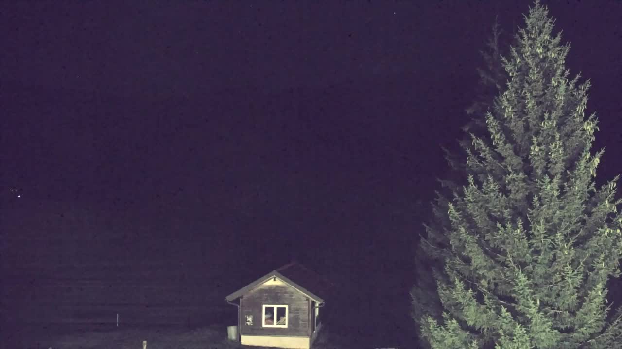 Webcam Lokve – La beauté de la forêt de Trnovo