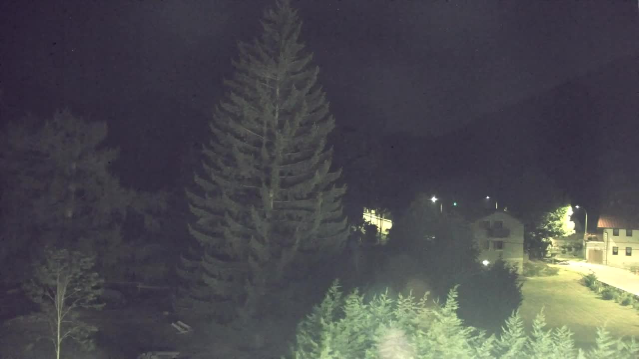 Webcam Loqua / Lokve – La bellezza della selva di Tarnova