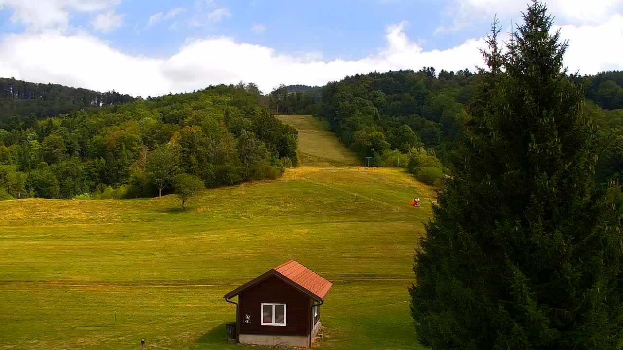 Webcam Loqua / Lokve – La bellezza della selva di Tarnova