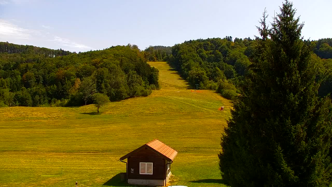 Webcam Lokve – The beauty of the Trnovo forest