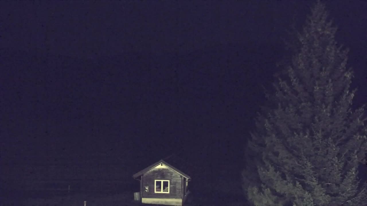 Webcam Lokve – The beauty of the Trnovo forest