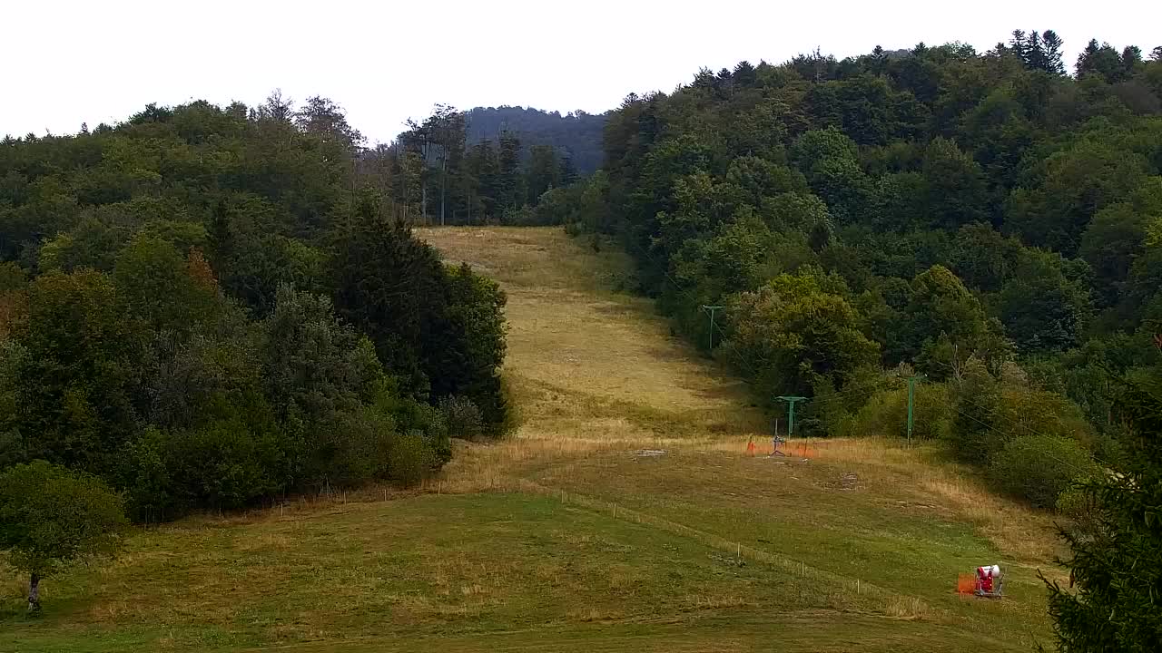 Webcam Lokve – The beauty of the Trnovo forest