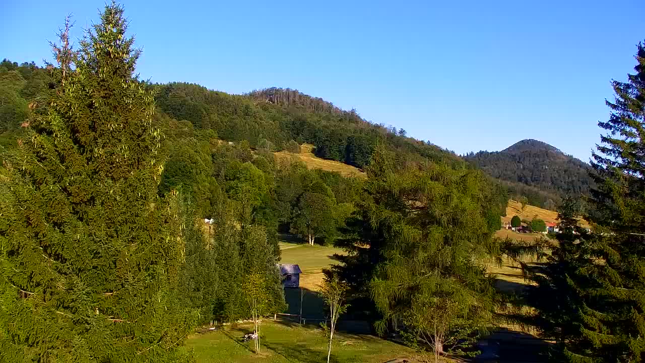 Webcam Lokve – The beauty of the Trnovo forest