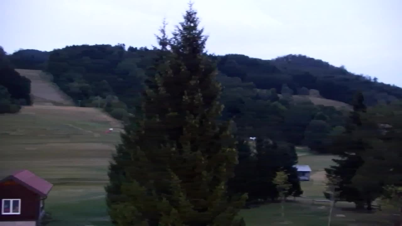 Webcam Loqua / Lokve – La bellezza della selva di Tarnova