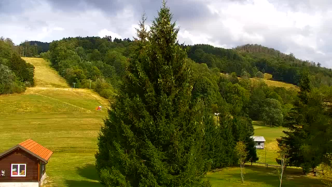 Webcam Lokve – The beauty of the Trnovo forest