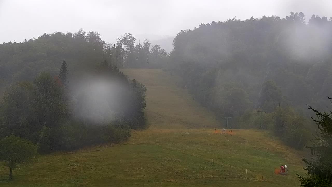 Webcam Loqua / Lokve – La bellezza della selva di Tarnova